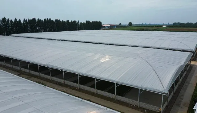 网站访问速度慢，如何提升用户体验？